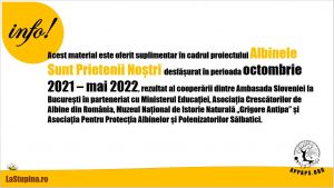 Ghid de predare Micul Apicultor